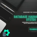DBMS
